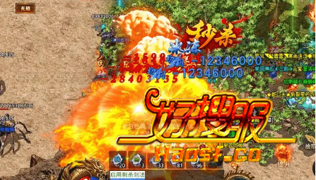 ��ʦ�������أ����������������