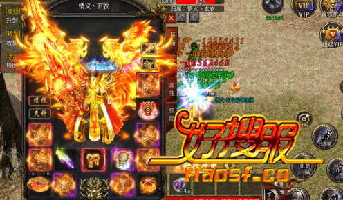 �����ͼȤζ�ʵ����񣬿������벻���Ľ���
